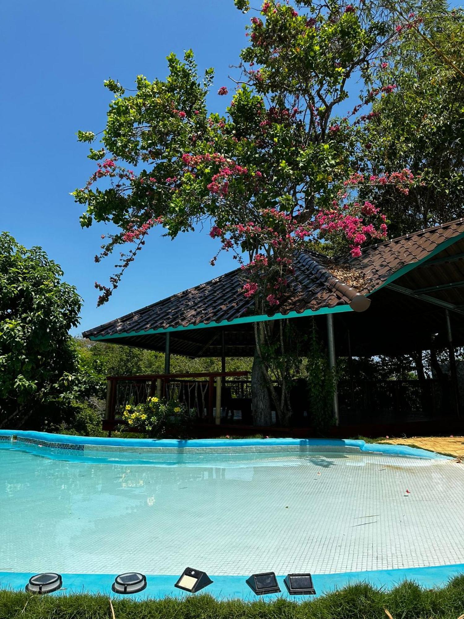 Villas Isla Escondida Boca Chica Buitenkant foto