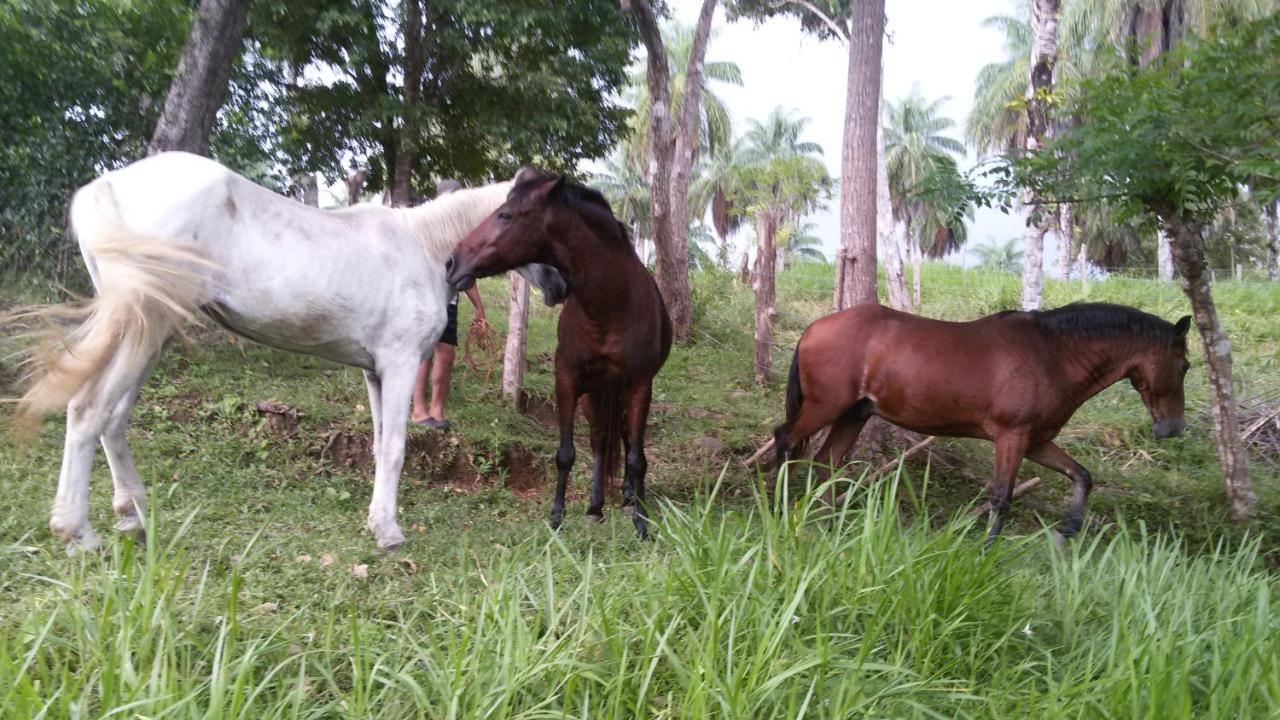Villas Isla Escondida Boca Chica Buitenkant foto